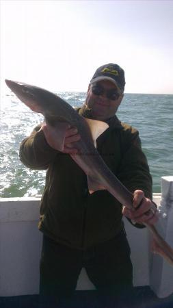 6 lb 7 oz Smooth-hound (Common) by jason