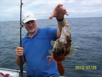 2 lb John Dory by Unknown