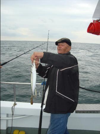 3 lb Mackerel by Jonjon (john) Randell