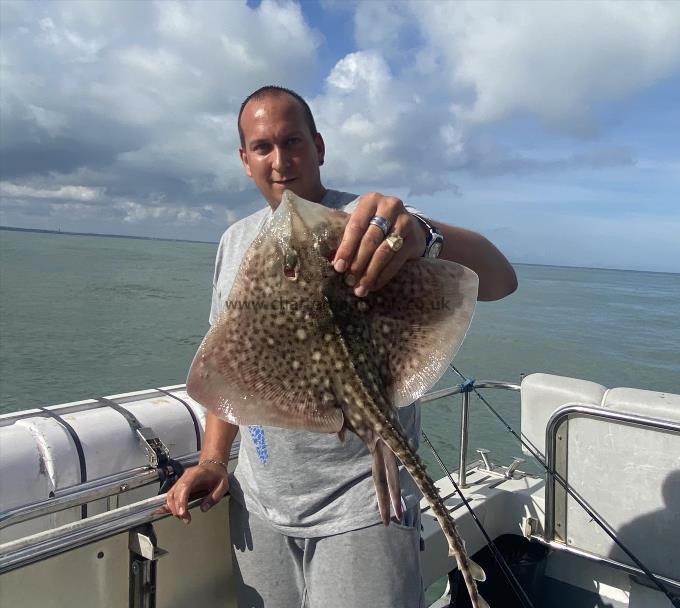 4 lb Thornback Ray by Unknown