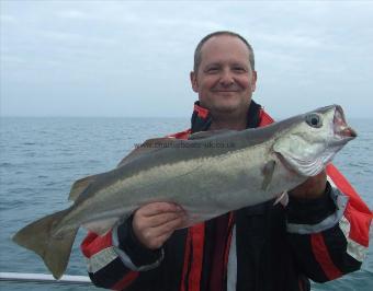 10 lb Pollock by Phil Harrison