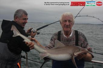 16 lb Starry Smooth-hound by Dennis
