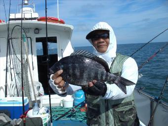 2 lb 14 oz Black Sea Bream by Wai