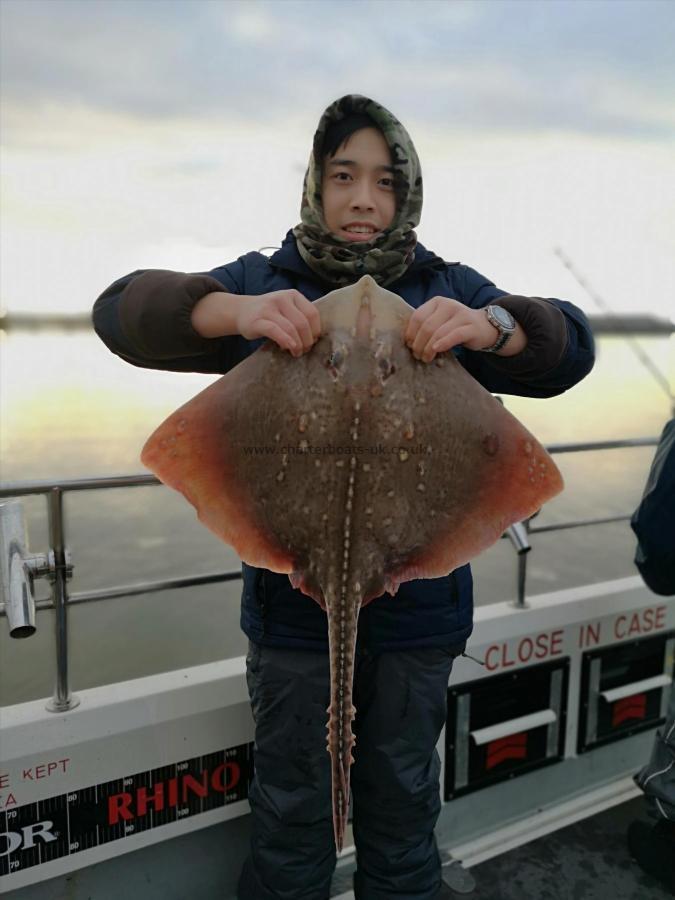 10 lb 8 oz Thornback Ray by Unknown