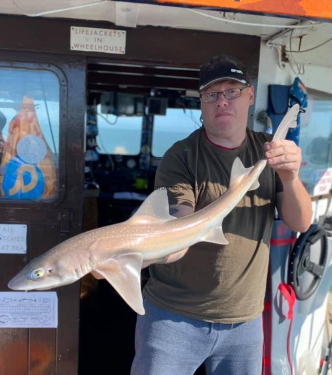 7 lb Smooth-hound by Unknown