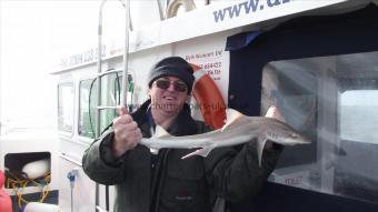 6 lb Starry Smooth-hound by Alan