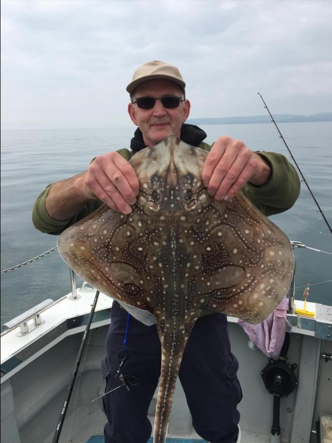 5 lb Undulate Ray by Steve