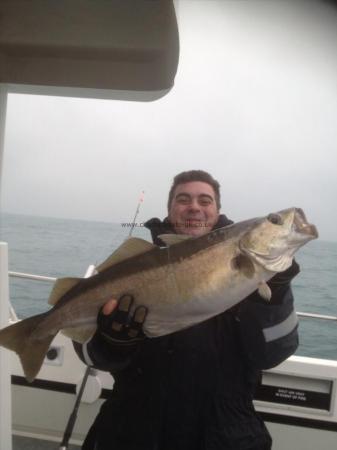 15 lb 8 oz Pollock by jason watling