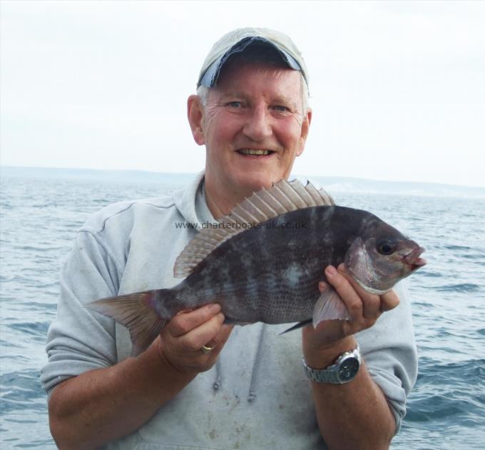 3 lb 2 oz Black Sea Bream by David Potts