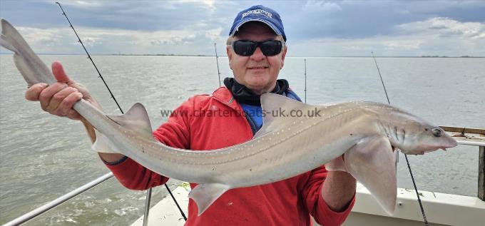 11 lb 2 oz Smooth-hound (Common) by Bill