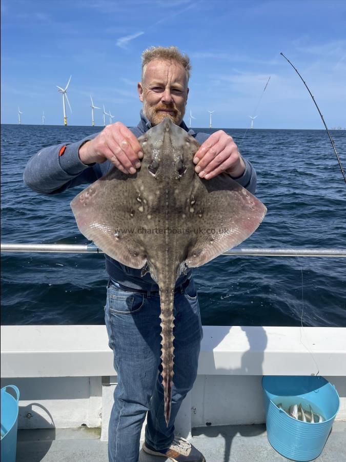 14 lb 5 oz Thornback Ray by Unknown