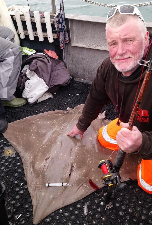 139 lb Common Skate by sandy