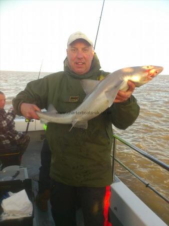 11 lb 4 oz Smooth-hound (Common) by edgy