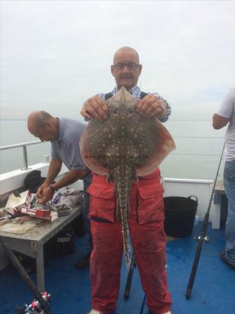 6 lb Thornback Ray by Unknown