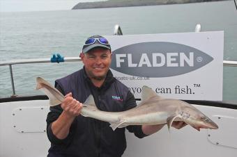 11 lb Starry Smooth-hound by Mark