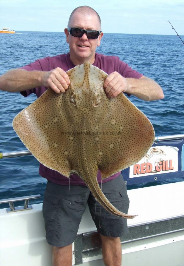 16 lb Blonde Ray by Steve Wells