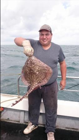 8 lb 8 oz Thornback Ray by Bob Marshall