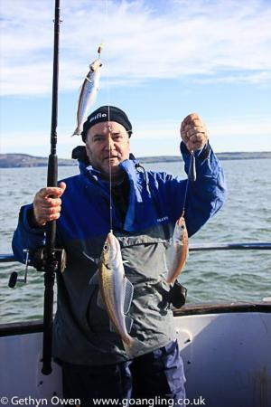 8 oz Whiting by Neil