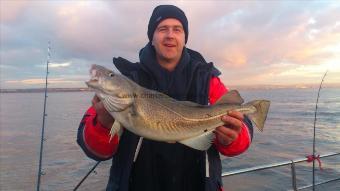 7 lb Cod by len chatfield