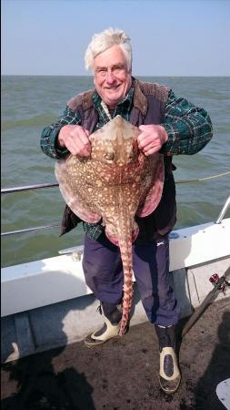 11 lb 8 oz Thornback Ray by Bob Marshall