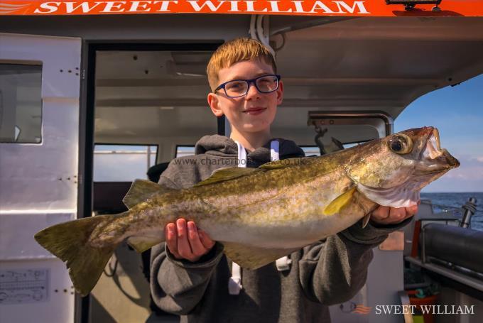 6 lb 1 oz Pollock by Henry Sharp