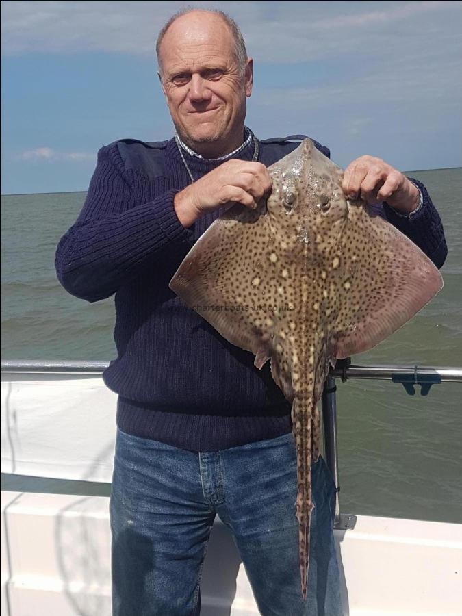 4 lb Thornback Ray by John