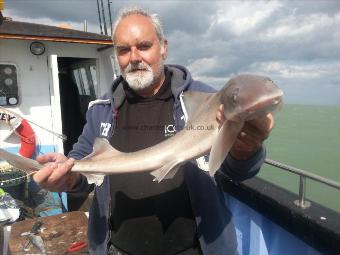 6 lb Smooth-hound by Les