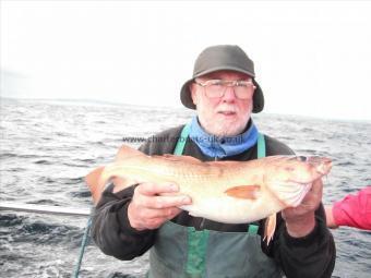 3 lb Cod by Malcolm - Chesterfield