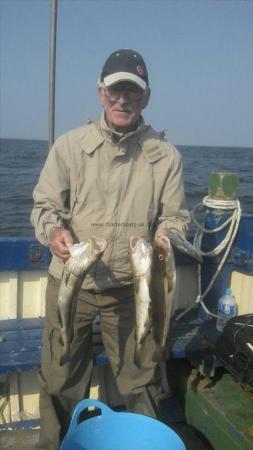 3 lb Cod by Alan