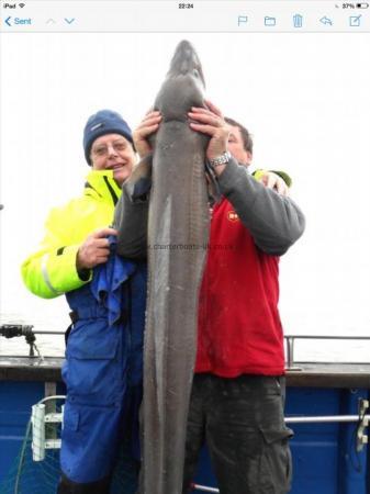 53 lb Conger Eel by Unknown