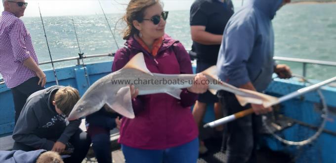 10 lb 5 oz Smooth-hound (Common) by Roseanne