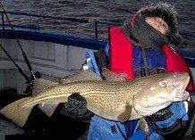 8 lb Cod by george brozych