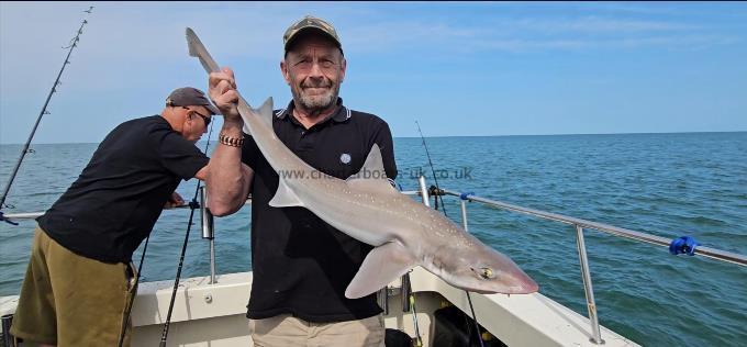 10 lb 8 oz Starry Smooth-hound by Alan