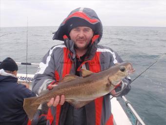 4 lb Pollock by Rob Clowes