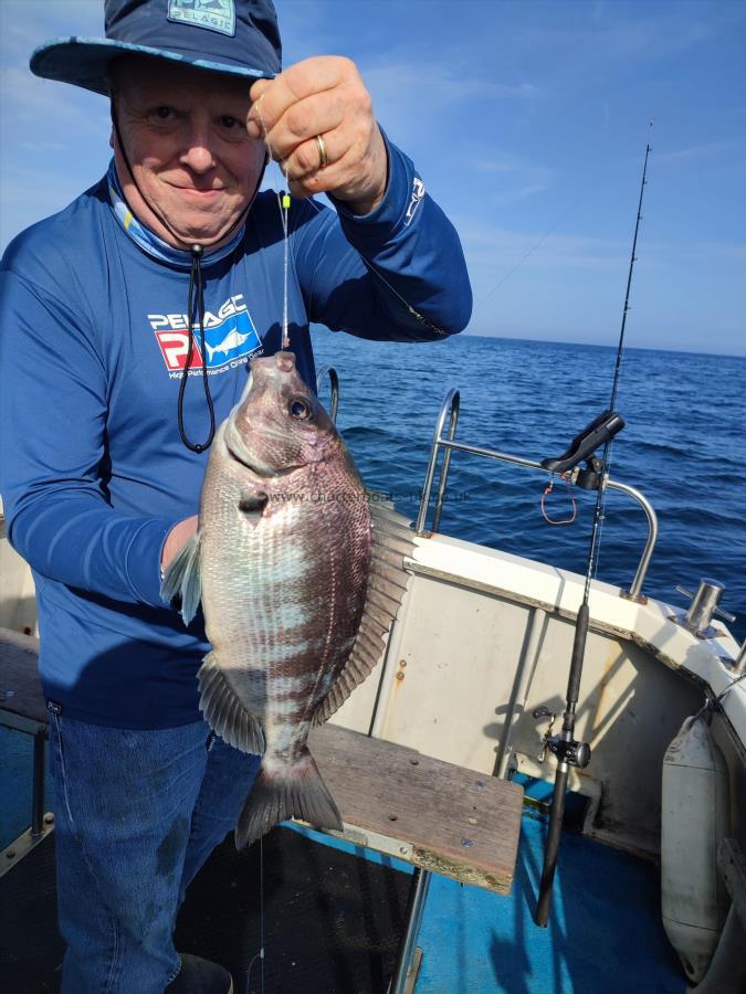 2 lb 2 oz Black Sea Bream by Adrian