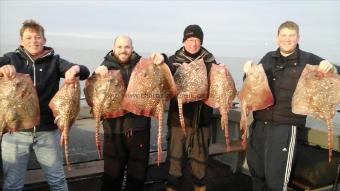 11 lb Thornback Ray by crags party