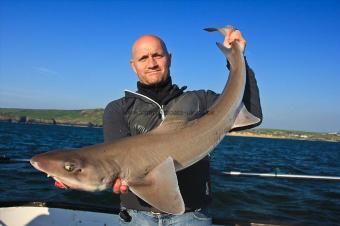 10 lb Starry Smooth-hound by Richard