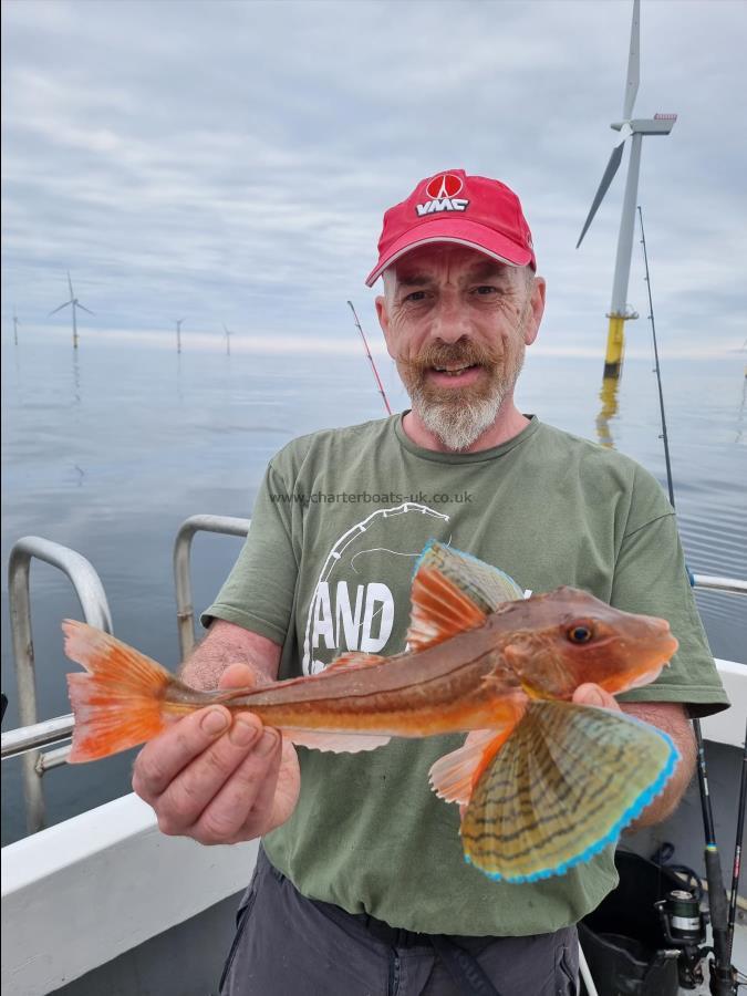 1 lb Tub Gurnard by Robert Lee