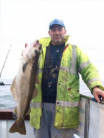 8 lb 10 oz Pollock by Unknown