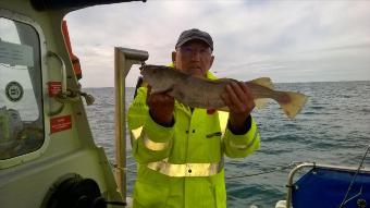 3 lb 8 oz Cod by Stephen Wake