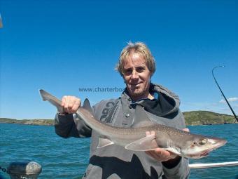 7 lb Starry Smooth-hound by John Little