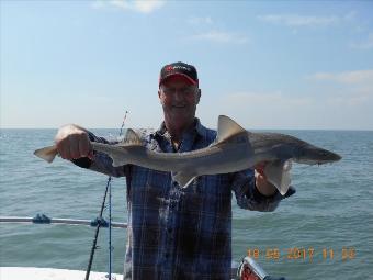 6 lb Starry Smooth-hound by Chris merrison