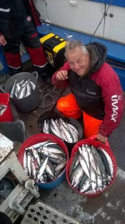 1 lb Mackerel by Unknown