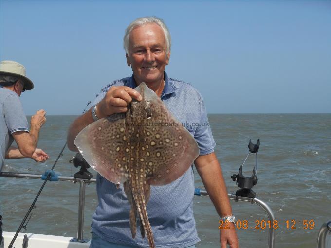 4 lb Thornback Ray by Andy