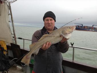 7 lb Cod by Neil from Essex