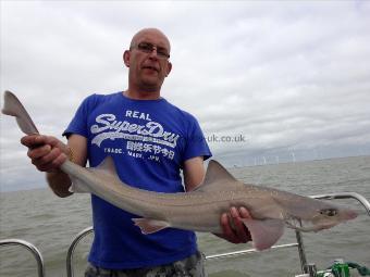 7 lb 10 oz Starry Smooth-hound by Rob Cox