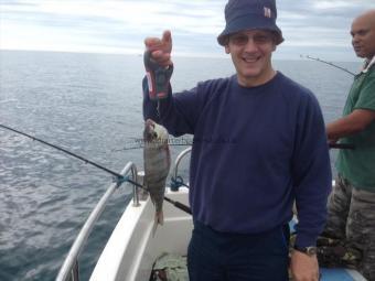 2 lb 6 oz Black Sea Bream by Unknown