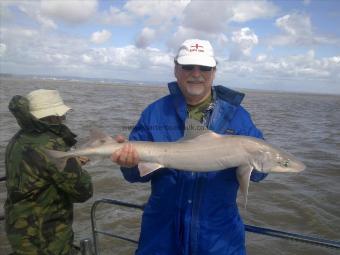 12 lb 8 oz Smooth-hound by alan holiday, waltham abbey sac