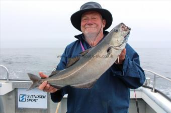6 lb Coalfish (Coley/Saithe) by Kevin McKie