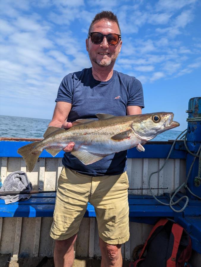 4 lb 7 oz Pollock by Unknown